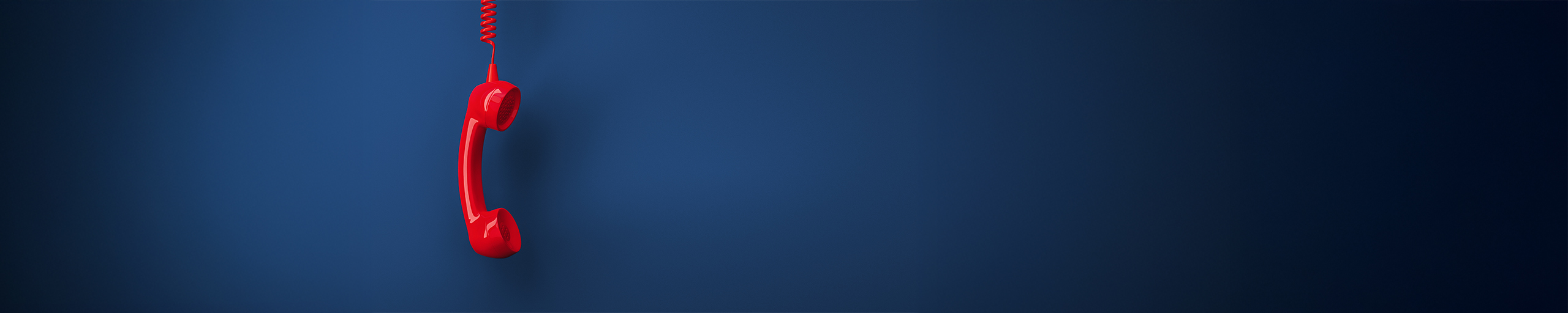 banner 1
